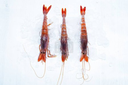 Téléchargez les photos : Un gros plan de crevettes fraîches crues sur de la glace exposée dans un marché - en image libre de droit
