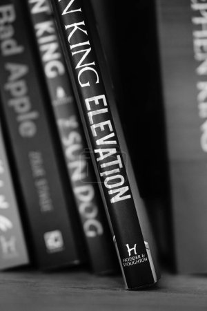 Téléchargez les photos : Un gros plan vertical en niveaux de gris du roman Elevation de Stephen King. - en image libre de droit