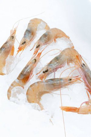 Téléchargez les photos : Un plan vertical de crevettes fraîches crues sur de la glace affichée sur un marché - en image libre de droit