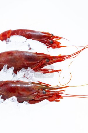 Téléchargez les photos : Plan vertical de crevettes fraîches rouges crues sur glace isolée sur fond blanc - en image libre de droit