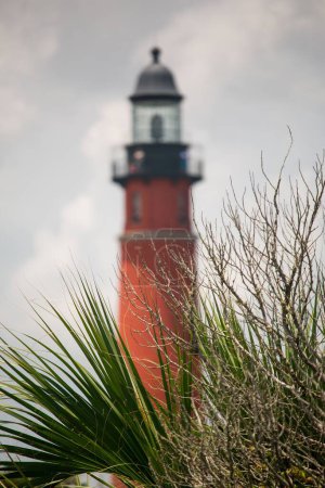 Téléchargez les photos : Gros plan vertical d'un buisson sans feuilles, de feuilles de palmier et d'un phare rouge en arrière-plan. Floride. - en image libre de droit