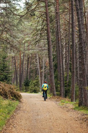 Photo for A vertical shot of man riding a bike on valley in a forest with trees in autumn - Royalty Free Image