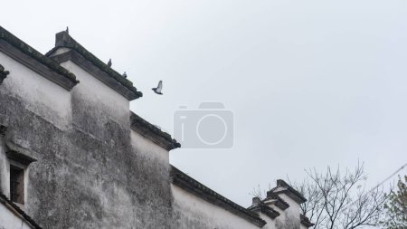 Photo for White birds on the roof of a building in a Chinese style and the blue sky - Royalty Free Image