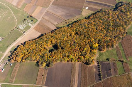 Téléchargez les photos : Une vue aérienne d'une belle forêt d'automne par une journée ensoleillée - en image libre de droit