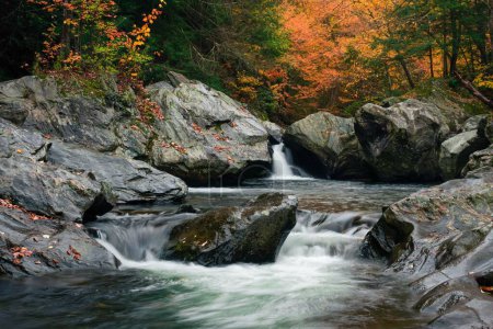 Téléchargez les photos : Un beau cliché d'une petite cascade coulant sur des rochers dans une forêt - en image libre de droit