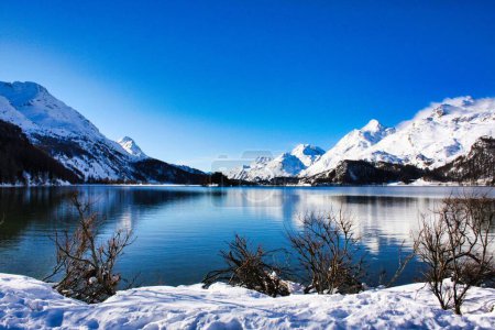 Foto de Lago Sils azul claro rodeado de montañas nevadas bajo el cielo azul en Suiza en invierno - Imagen libre de derechos