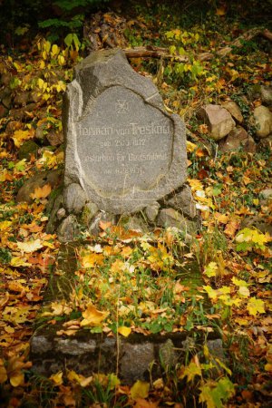 Téléchargez les photos : Plan vertical d'une tombe dans le cimetière de Treskow dans la forêt d'Owinska, Pologne - en image libre de droit