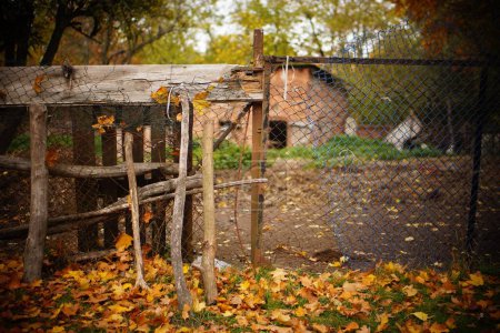 Photo for A wood and chain link fence with yellow leaves in front and a beautiful park in the background - Royalty Free Image