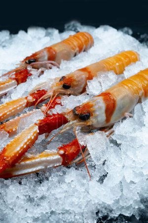 Photo for A vertical shot of raw fresh Dublin Bay Prawn on ice displayed in a market - Royalty Free Image