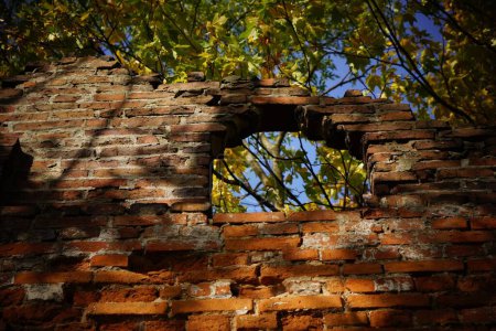Foto de Un plano de ángulo bajo de una vieja pared de piedra marrón con una abertura - Imagen libre de derechos