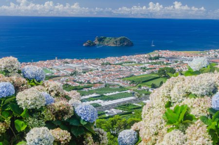 Foto de La Isla Volcánica Vila Franca en el fondo de flores florecientes y vista del paisaje urbano de Sao Miguel - Imagen libre de derechos