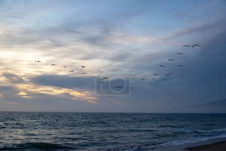 Téléchargez les photos : Coucher de soleil saisissant sur l'océan et littoral vide avec des mouettes survolant - en image libre de droit