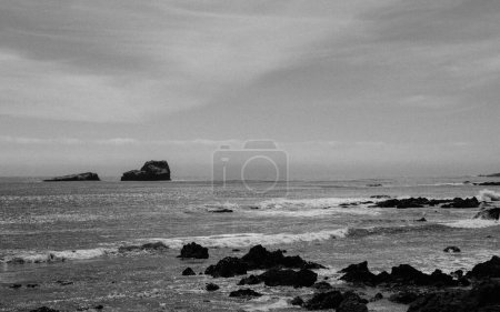 Téléchargez les photos : La vue côtière californienne en niveaux de gris sur les vagues de l'océan Pacifique - en image libre de droit