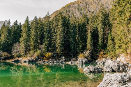 Foto de Una vista panorámica del lago Fusine con aguas poco profundas rodeadas de árboles y rocas en Italia - Imagen libre de derechos
