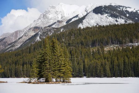 Téléchargez les photos : Un groupe d'arbres sur une île qui se dresse devant une grande chaîne de montagnes et de forêts en Alberta, Canada. - en image libre de droit