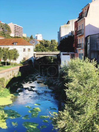 Foto de Un plano vertical del edificio cerca del río con un puente rodeado de árboles en Portugal - Imagen libre de derechos