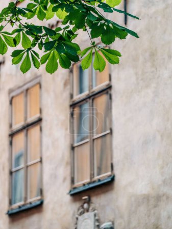 Foto de La vista vertical de los marcos de ventanas de madera de un edificio antiguo - Imagen libre de derechos