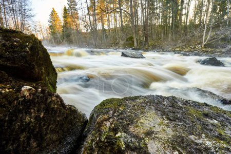 Téléchargez les photos : Vue à grand angle d'exposition prolongée de l'eau jaillissant sur des roches dans une forêt - en image libre de droit
