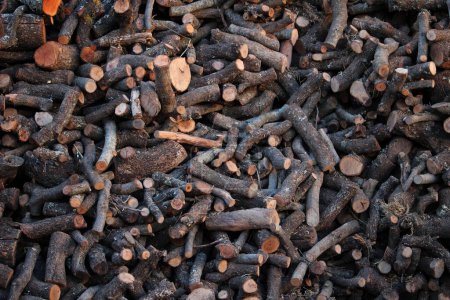 Photo for A heap of firewood. Top view. Natural fuel material. - Royalty Free Image