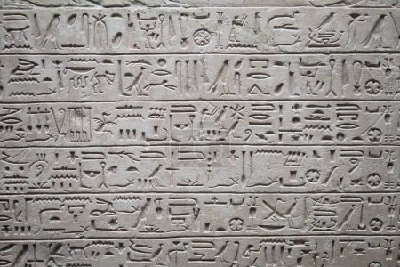 Téléchargez les photos : Un gros plan des hiéroglyphes égyptiens antiques bien conservés sur le mur du temple - en image libre de droit