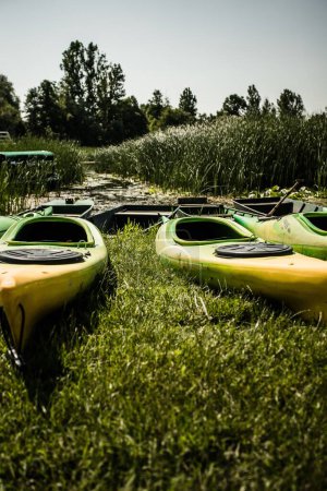 Photo for A vertical shot of kayaks on a grassy lawn - Royalty Free Image