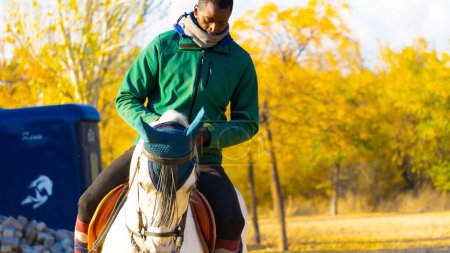 Téléchargez les photos : Un jockey masculin monté sur un cheval blanc pour s'entraîner contre les arbres automnaux - en image libre de droit