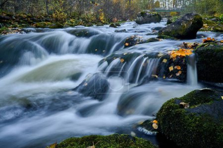 Téléchargez les photos : Une rivière traversant la forêt - en image libre de droit