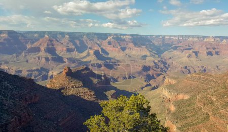 Photo for A beautiful shot of Grand Canyon National Park on a sunny day in summer - Royalty Free Image
