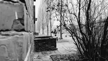Téléchargez les photos : Un plan en niveaux de gris de la route vide dans le camp de concentration d'Auschwitz à l'automne - en image libre de droit