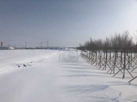 Téléchargez les photos : Un beau paysage hivernal à la campagne avec des champs agricoles couverts de neige - en image libre de droit