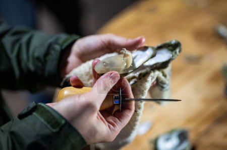 Photo for A closeup of male hands opening oysters - Royalty Free Image
