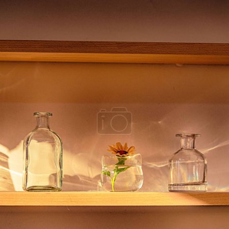 Foto de Tres frascos de vidrio con un girasol en él poner en una cáscara y decorar la habitación bajo la luz del sol - Imagen libre de derechos