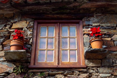 Téléchargez les photos : Fenêtre de Noël avec usine Poinsettia - en image libre de droit