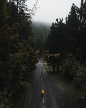 Téléchargez les photos : Vue aérienne d'une personne en manteau jaune marchant dans une pinède dans les montagnes Beskydy, République tchèque - en image libre de droit
