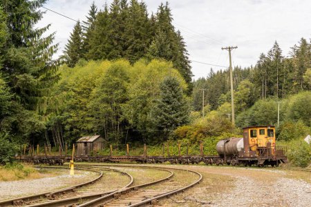 Téléchargez les photos : Les anciennes voies ferrées forestières avec un fourgon de queue et un train - en image libre de droit