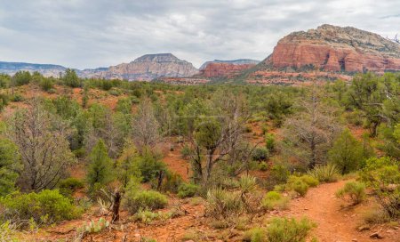 Photo for A beautiful shot of amazing landscapes in Sedona, Arizona, USA - Royalty Free Image