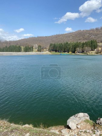 Téléchargez les photos : Plan vertical d'un lac entouré d'arbres verts et de plantes à flanc de colline sous le ciel bleu - en image libre de droit