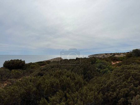 Foto de Una vista panorámica de una costa cubierta de vegetación y un mar azul claro en el fondo en un día sombrío - Imagen libre de derechos