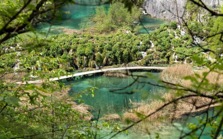 Foto de Un hermoso paisaje de lagos, cascadas y la vegetación fresca en el Parque Nacional de los Lagos Plitvice - Imagen libre de derechos