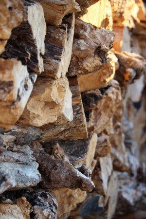 Photo for A vertical shot of firewood stacked on top of each other. - Royalty Free Image