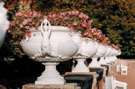 Téléchargez les photos : Vase et fleurs sur un piédestal nord france - en image libre de droit