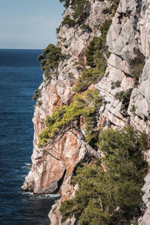 Photo for A vertical shot of the cliffs at Pasjaca Beach in Croatia, Popovici - Royalty Free Image