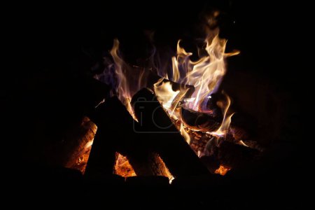 Téléchargez les photos : Feu de camp dans la nuit brûlant chaud - en image libre de droit
