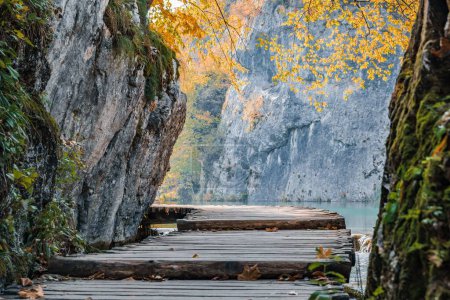 Foto de Un primer plano de un camino de madera en un lago y un árbol amarillo en el parque nacional de Plitvice Lakes - Imagen libre de derechos