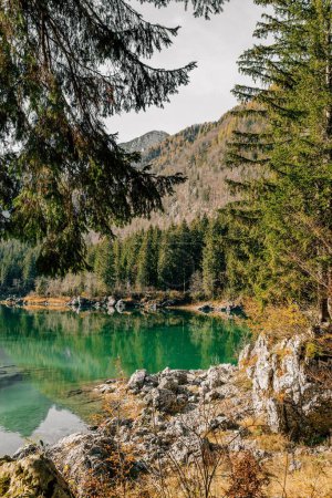 Photo for A vertical view of Lake Fusine with shallow water surrounded by lush trees and rocks in Italy - Royalty Free Image
