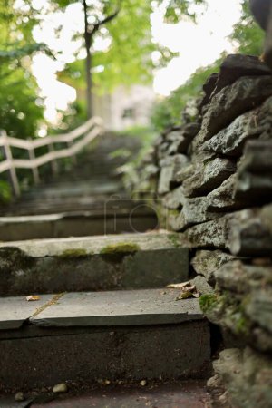 Téléchargez les photos : Une passerelle avec des marches en pierre en bois vert - en image libre de droit