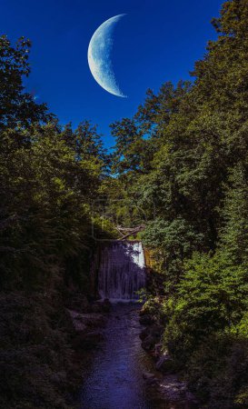 Téléchargez les photos : Une vue panoramique verticale avec la nouvelle lune dans le ciel bleu au-dessus d'une cascade cachée parmi des plantes luxuriantes - en image libre de droit
