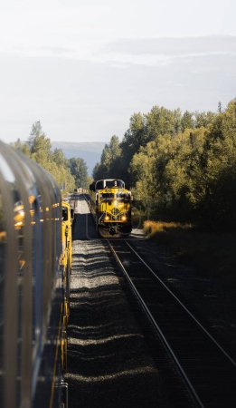 Téléchargez les photos : Une verticale du train de chemin de fer Alaska se dirigeant vers le sud à travers le parc national Denali - en image libre de droit