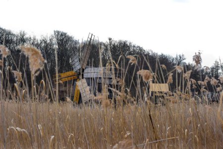 Foto de Una hermosa vista de un viejo molino de viento desde un campo con hierba seca - Imagen libre de derechos
