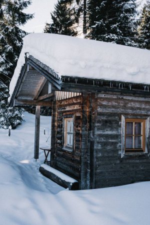 Foto de Un plano vertical de la casa de campo en la naturaleza en un día de invierno nevado - Imagen libre de derechos